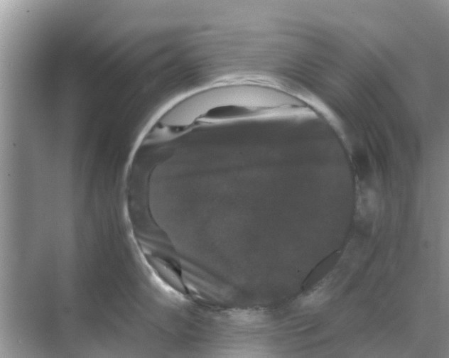 X0000070171102200606231914