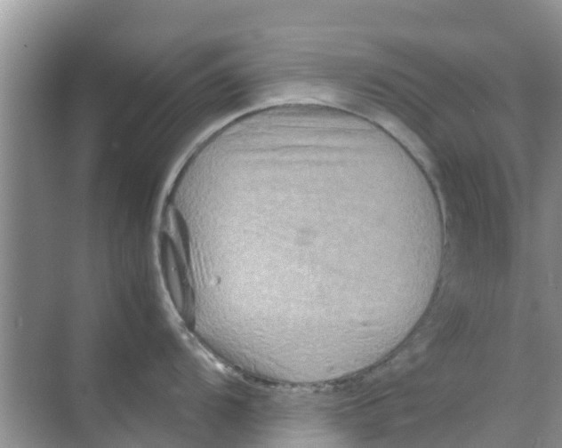 X0000070171104200606231914