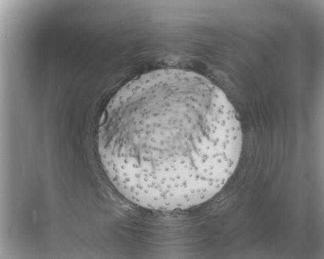 X0000070171105200606231913