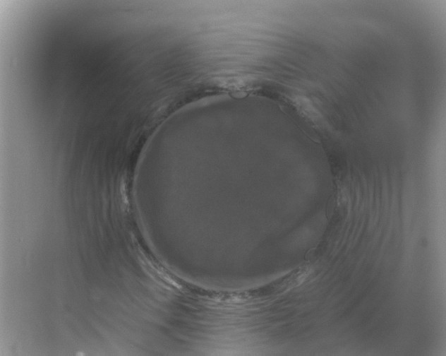 X0000070171106200606231913