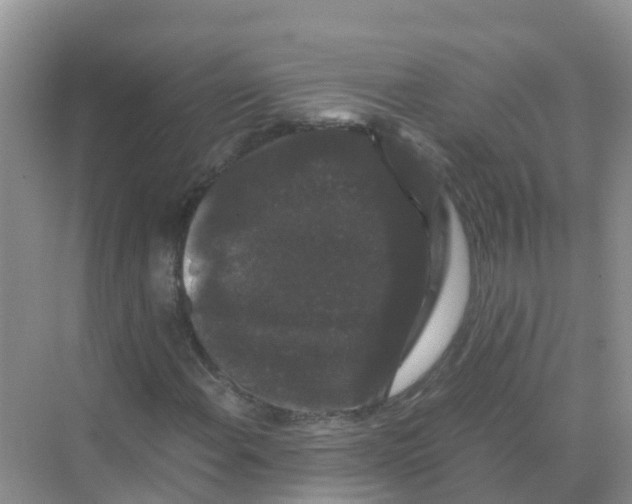 X0000070171108200606231913