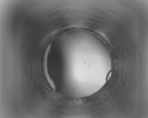 X0000070171111200606231913