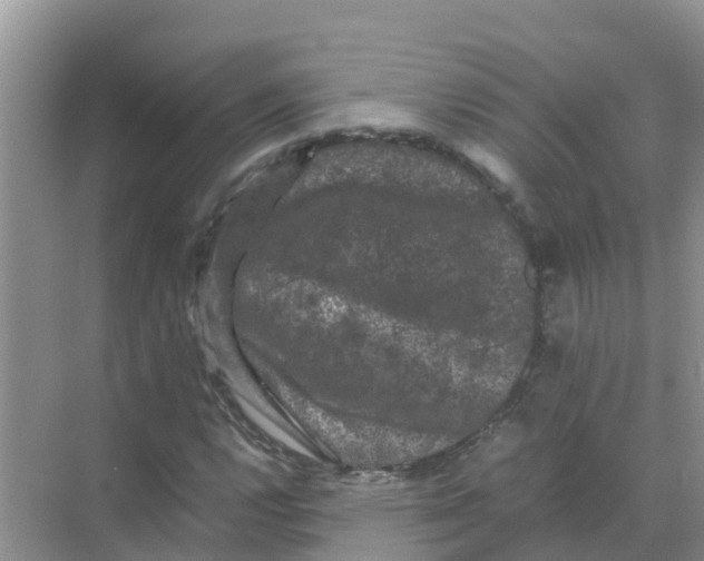 X0000070171112200606231913