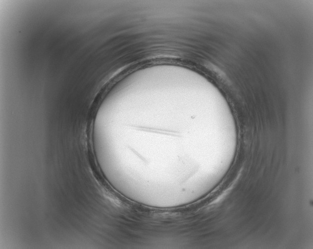 X0000070171113200606231913