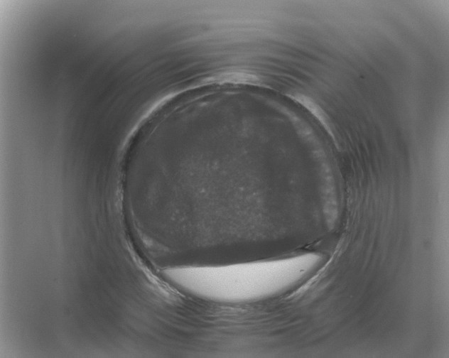 X0000070171115200606231914