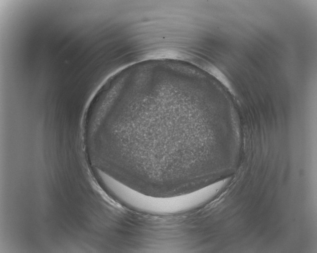 X0000070171116200606231914