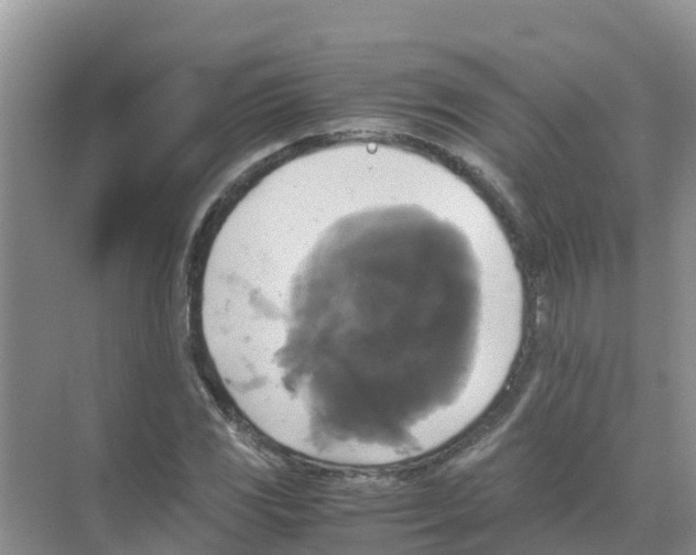 X0000070171117200606231914