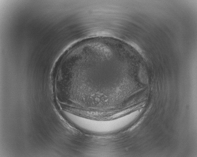 X0000070171118200606231914