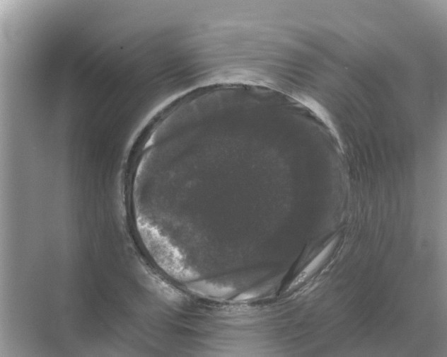 X0000070171120200606231914