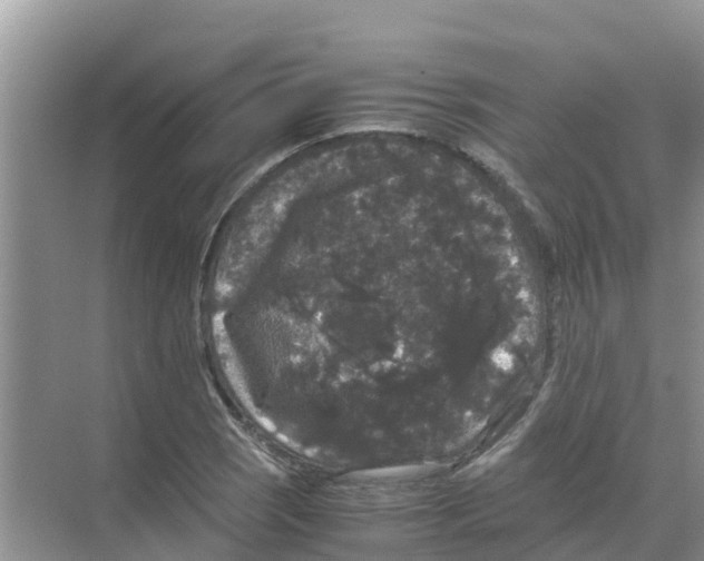 X0000070171121200606231914