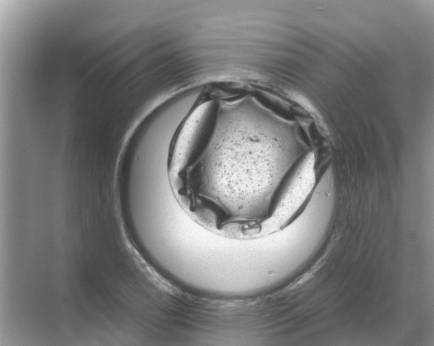 X0000070171122200606231914