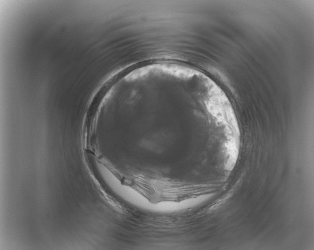 X0000070171125200606231914