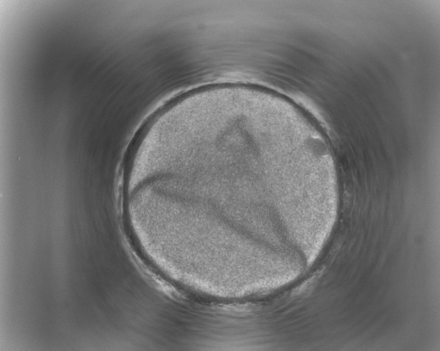 X0000070171126200606231914