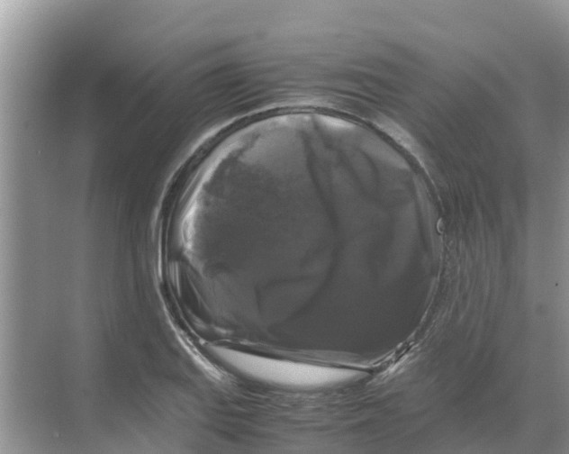 X0000070171127200606231914