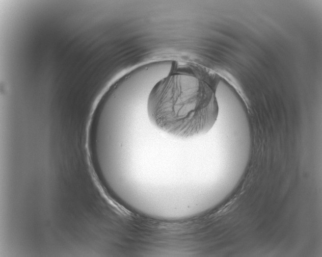 X0000070171128200606231914