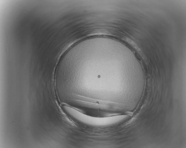 X0000070171129200606231914