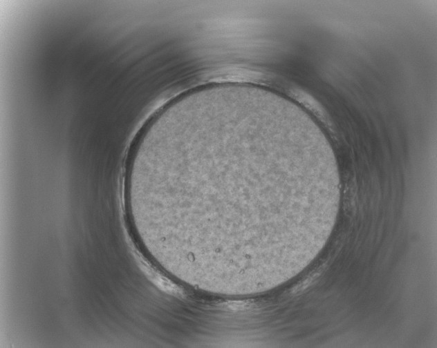 X0000070171130200606231914