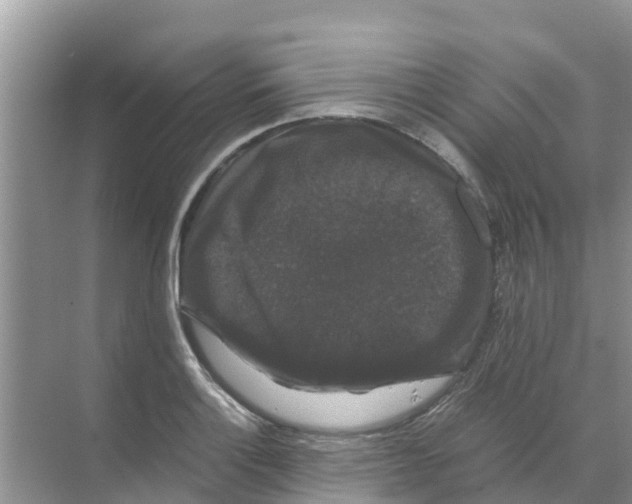 X0000070171132200606231914