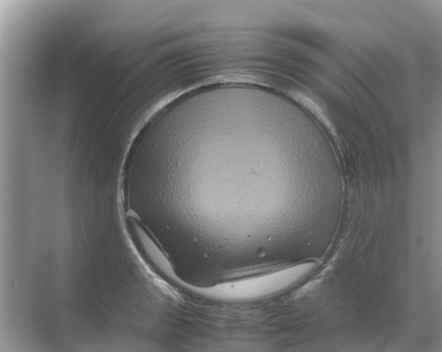 X0000070171133200606231914