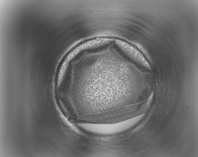 X0000070171134200606231914