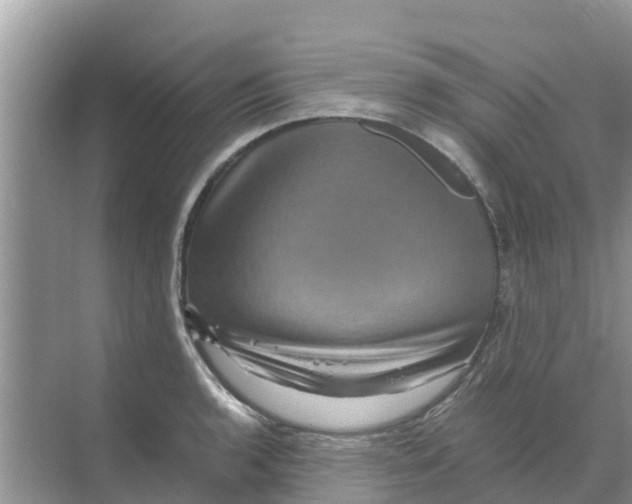 X0000070171136200606231914