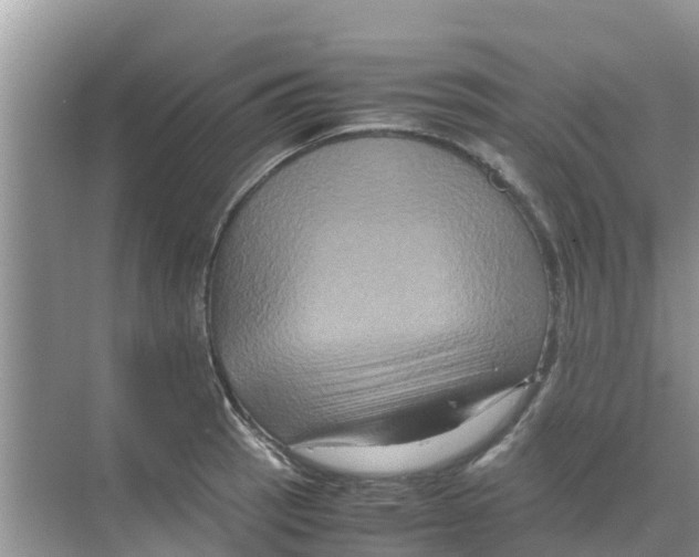 X0000070171137200606231914