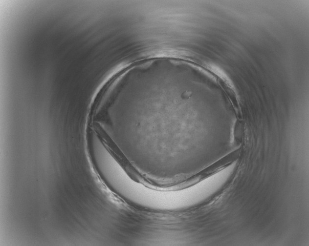 X0000070171138200606231914