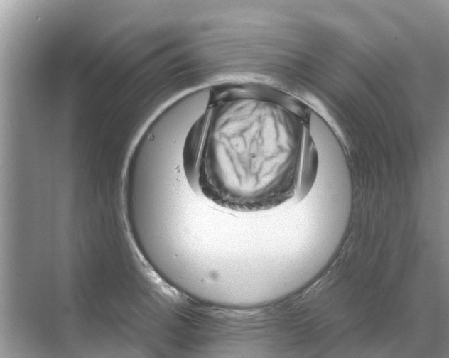 X0000070171140200606231914