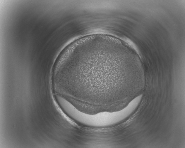 X0000070171142200606231914