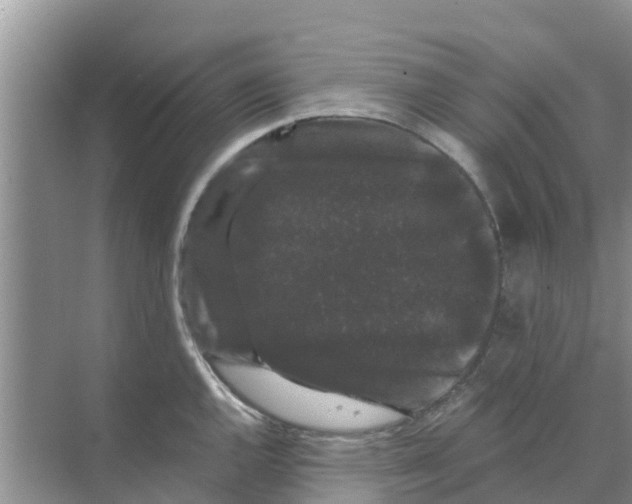 X0000070171144200606231914