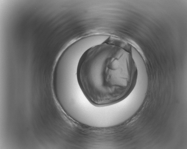 X0000070171146200606231914