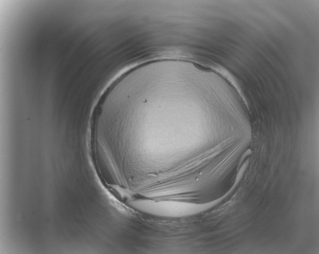 X0000070171147200606231914