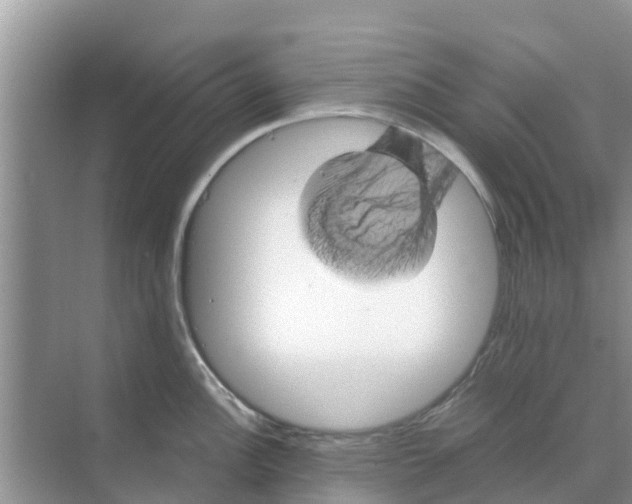 X0000070171148200606231914