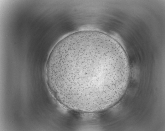 X0000070171150200606231914