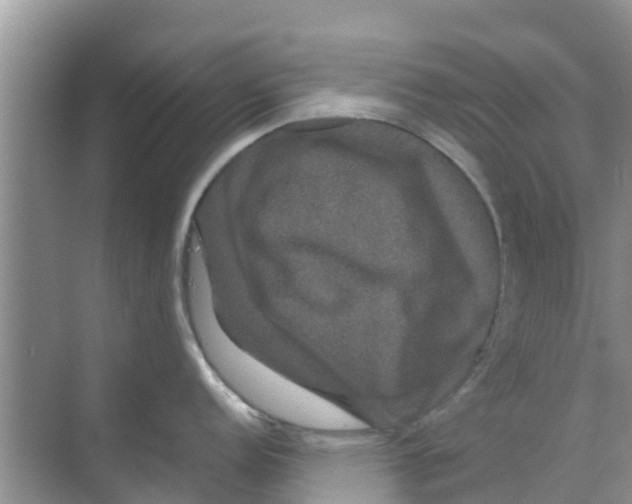 X0000070171152200606231914