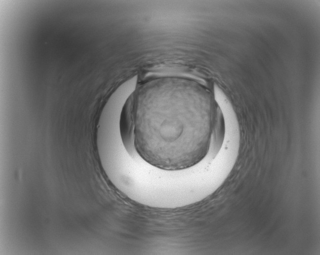 X0000070171153200606231913