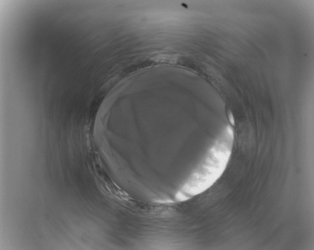 X0000070171154200606231913