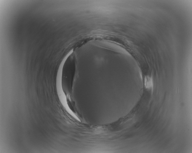 X0000070171155200606231913