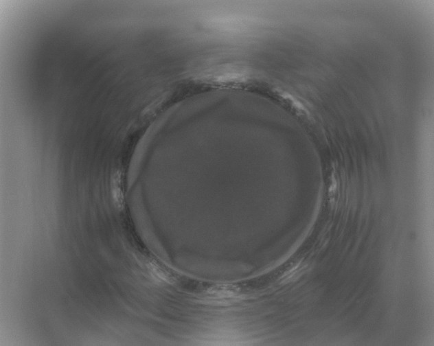 X0000070171156200606231913