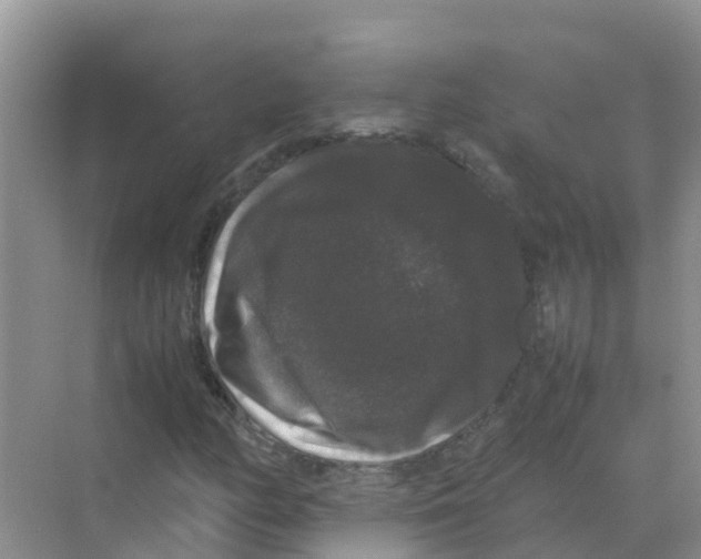 X0000070171158200606231913