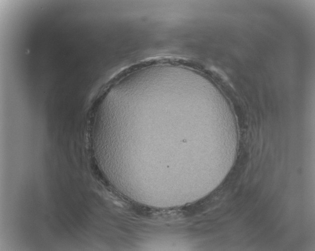 X0000070171159200606231913