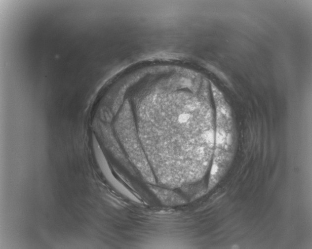 X0000070171160200606231913