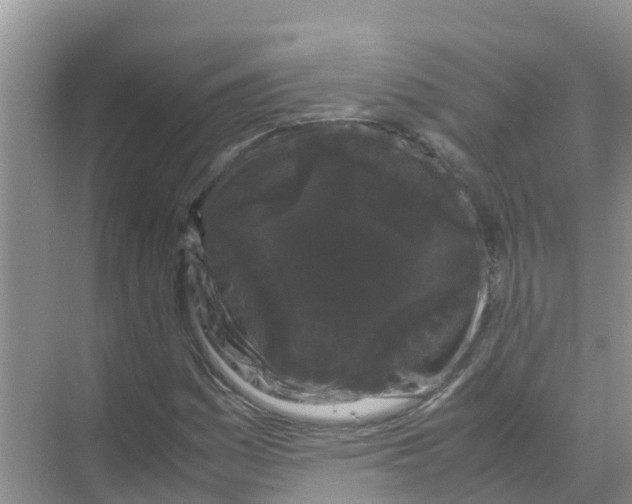 X0000070171161200606231913