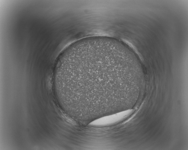 X0000070171163200606231913