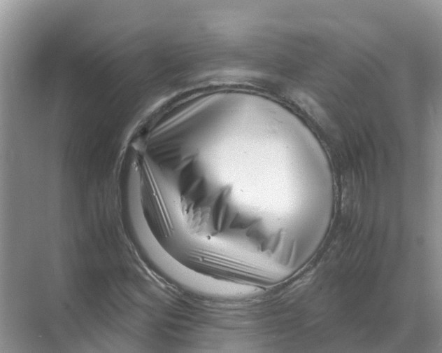 X0000070171164200606231913