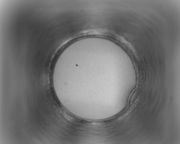 X0000070171166200606231913