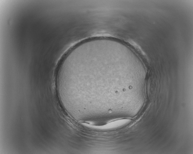 X0000070171167200606231913