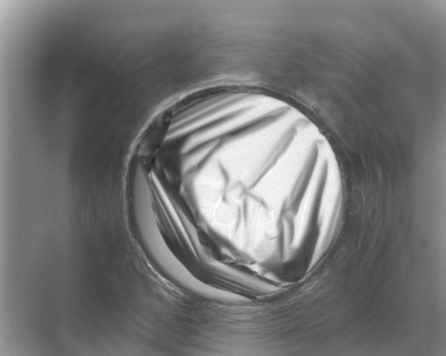 X0000070171168200606231913