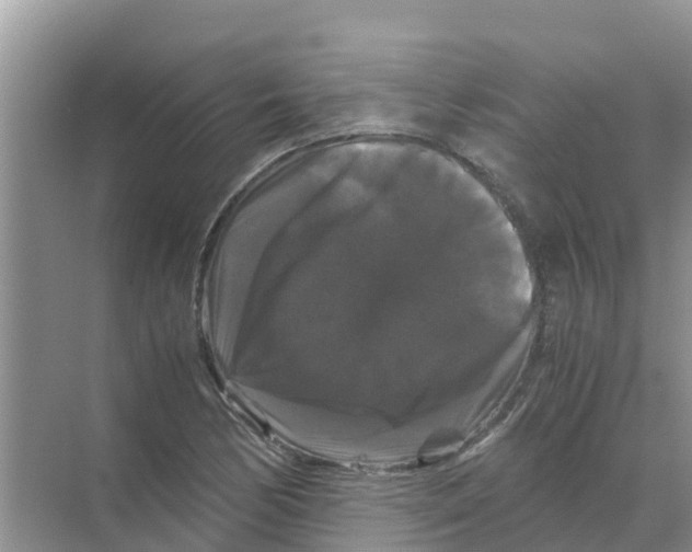 X0000070171170200606231913