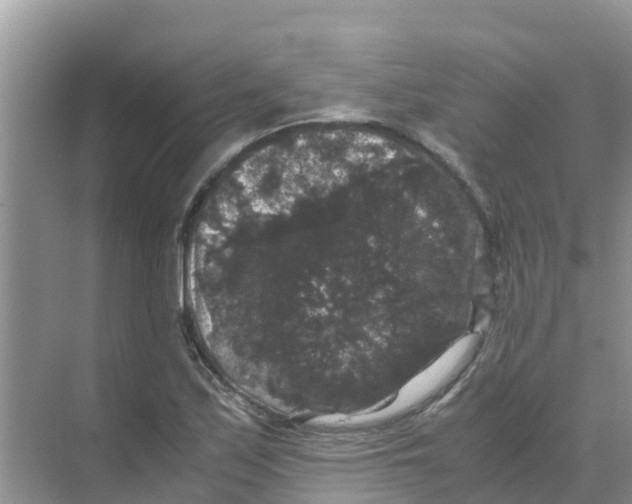 X0000070171171200606231913